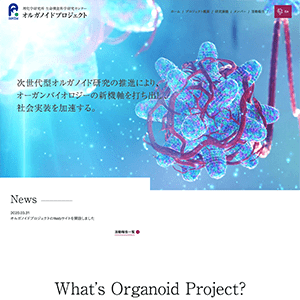 RIKEN Center for Biosystems Dynamics Research Organoid Project