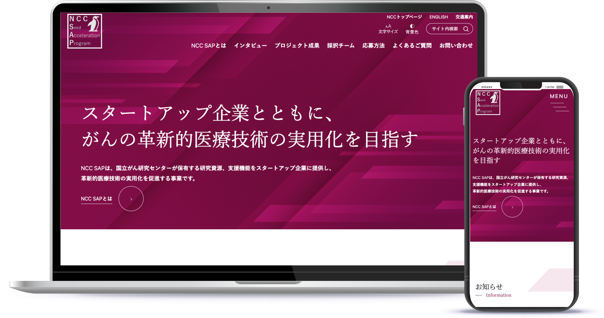 Seed Acceleration Program（NCC SAP）
